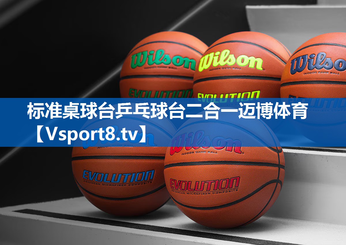 标准桌球台乒乓球台二合一迈博体育