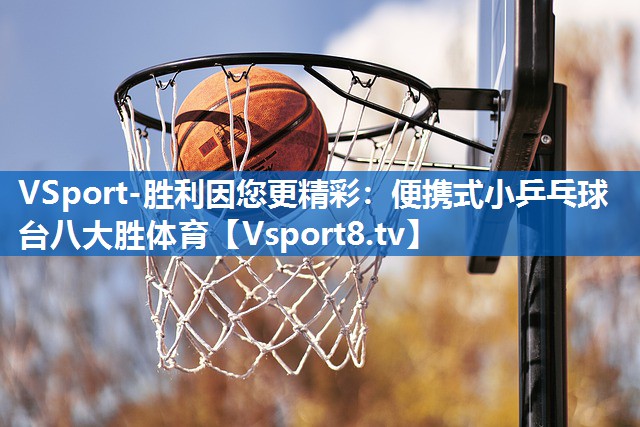 <strong>VSport-胜利因您更精彩：便携式小乒乓球台八大胜体育</strong>