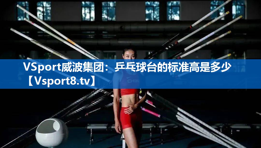 VSport威波集团：乒乓球台的标准高是多少