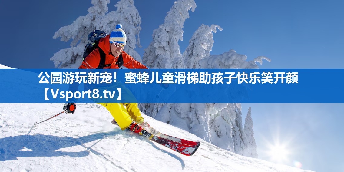 <strong>公园游玩新宠！蜜蜂儿童滑梯助孩子快乐笑开颜</strong>