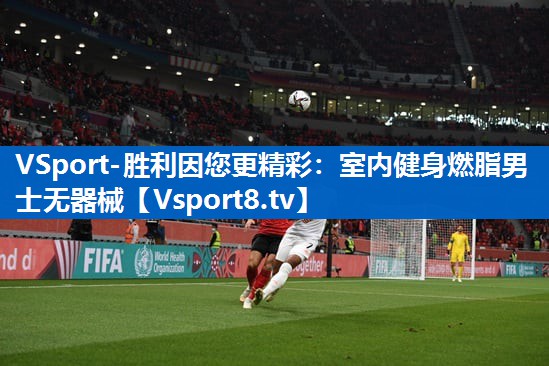VSport-胜利因您更精彩：室内健身燃脂男士无器械