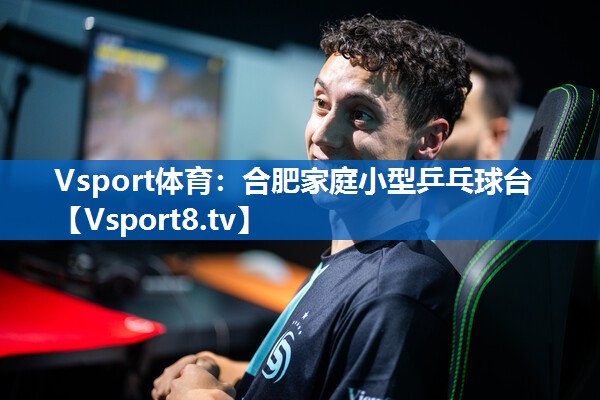 Vsport体育：合肥家庭小型乒乓球台