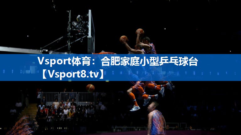 合肥家庭小型乒乓球台