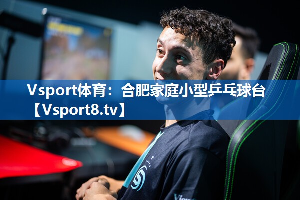 合肥家庭小型乒乓球台